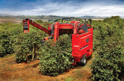 Case IH Coffee Express 100 Harvester Official Workshop Service Repair Manual